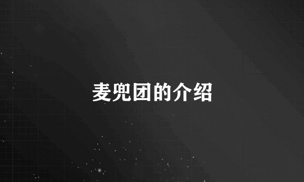 麦兜团的介绍