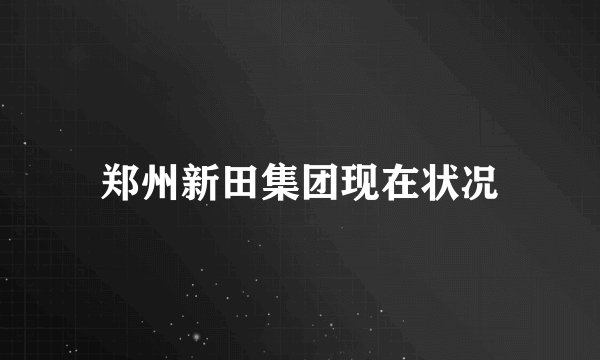 郑州新田集团现在状况