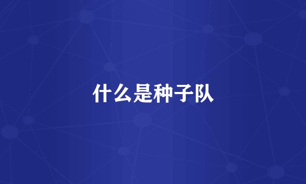 什么是种子队