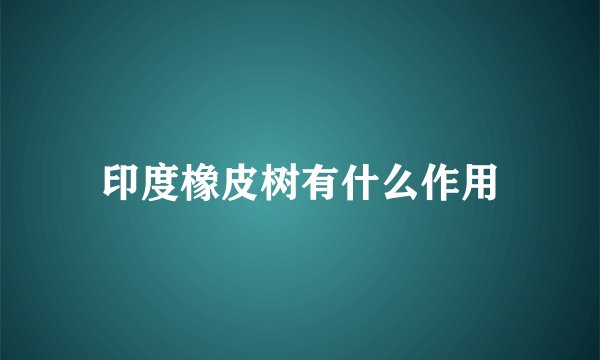 印度橡皮树有什么作用
