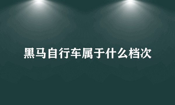 黑马自行车属于什么档次