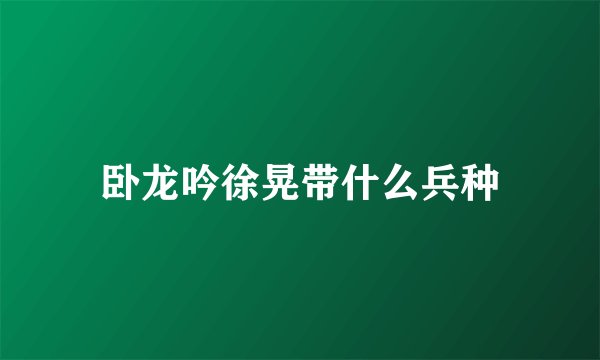 卧龙吟徐晃带什么兵种