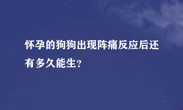 怀孕的狗狗出现阵痛反应后还有多久能生？
