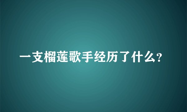 一支榴莲歌手经历了什么？