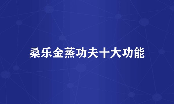 桑乐金蒸功夫十大功能