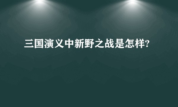 三国演义中新野之战是怎样?