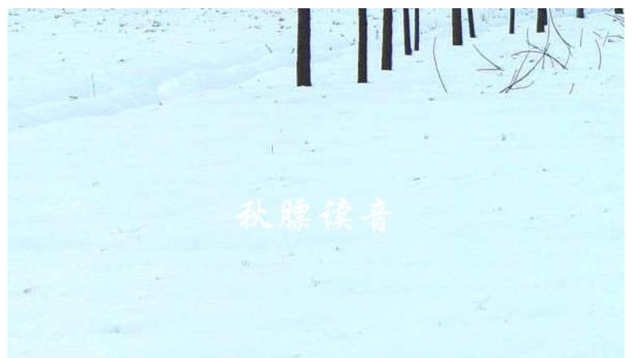 秋膘是什么？什么时候贴秋膘？