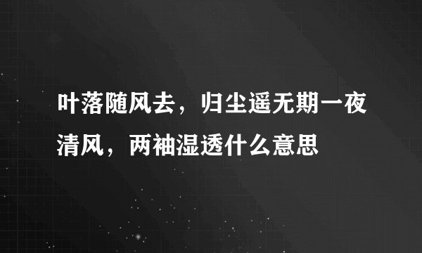 叶落随风去，归尘遥无期一夜清风，两袖湿透什么意思