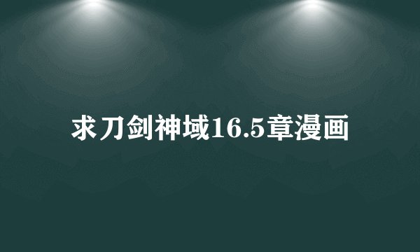 求刀剑神域16.5章漫画
