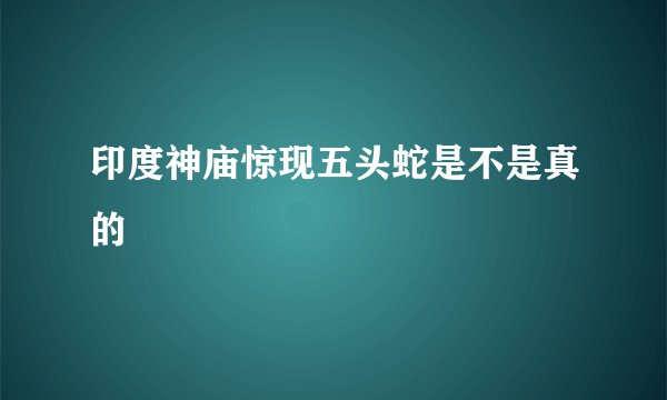 印度神庙惊现五头蛇是不是真的