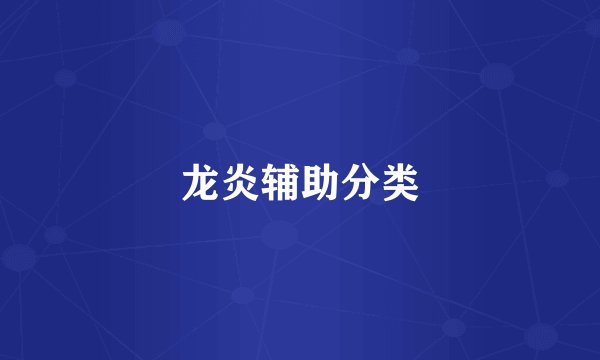 龙炎辅助分类