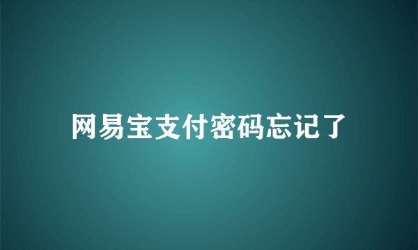 网易宝支付密码忘记了