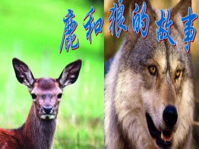 狼和鹿的故事告诉我们什么？
