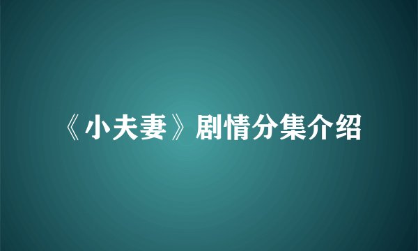 《小夫妻》剧情分集介绍