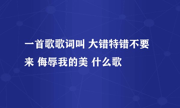 一首歌歌词叫 大错特错不要来 侮辱我的美 什么歌