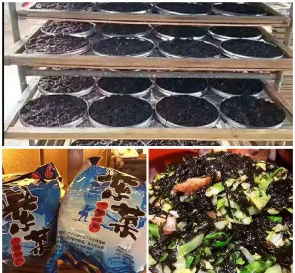 漳州六鳌半岛旅游攻略