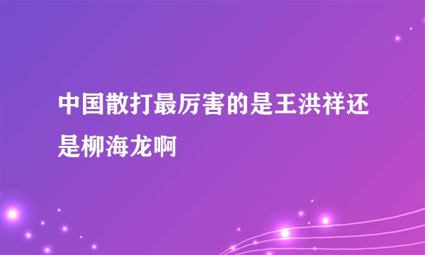 中国散打最厉害的是王洪祥还是柳海龙啊