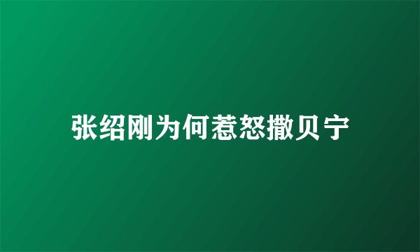 张绍刚为何惹怒撒贝宁