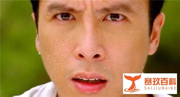 6大功夫巨星导演处女作：李连杰票房最高，甄子丹只有81万港币