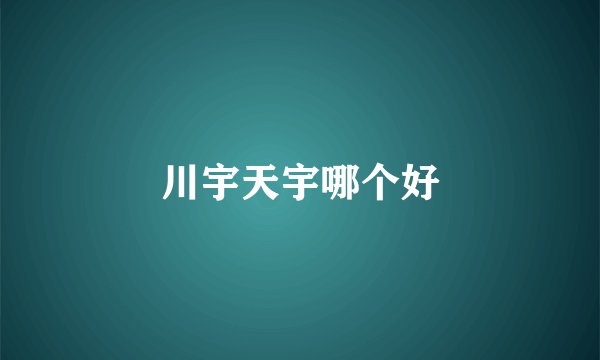 川宇天宇哪个好
