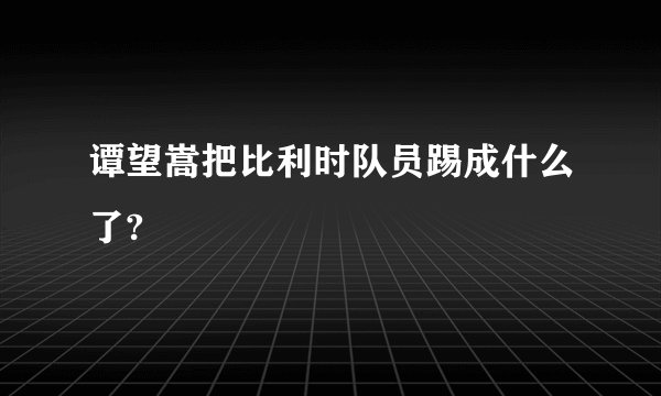 谭望嵩把比利时队员踢成什么了?