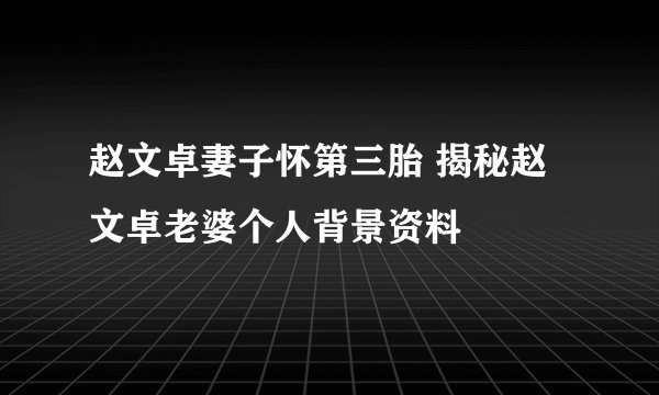 赵文卓妻子怀第三胎 揭秘赵文卓老婆个人背景资料