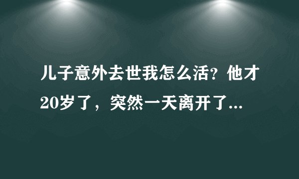 儿子意外去世我怎么活？他才20岁了，突然一天离开了我，我不知道该怎么活？没有救赎自己的办法？