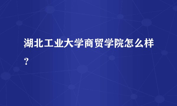 湖北工业大学商贸学院怎么样？