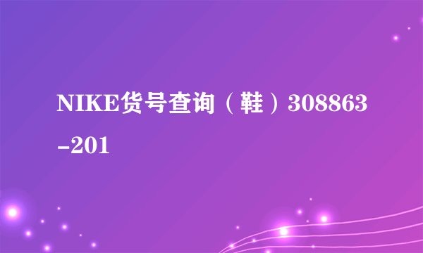 NIKE货号查询（鞋）308863-201
