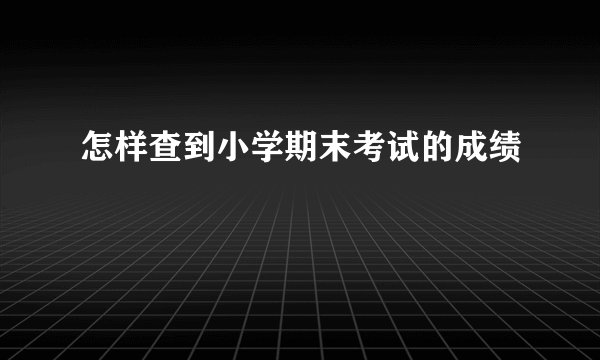 怎样查到小学期末考试的成绩