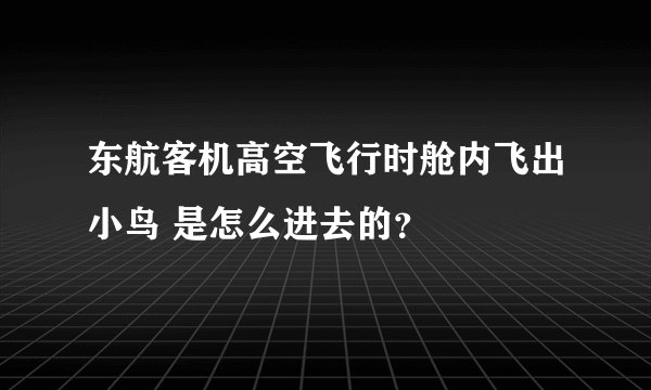 东航客机高空飞行时舱内飞出小鸟 是怎么进去的？