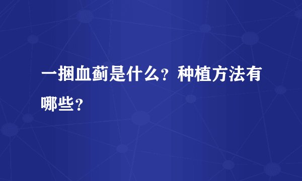 一捆血蓟是什么？种植方法有哪些？