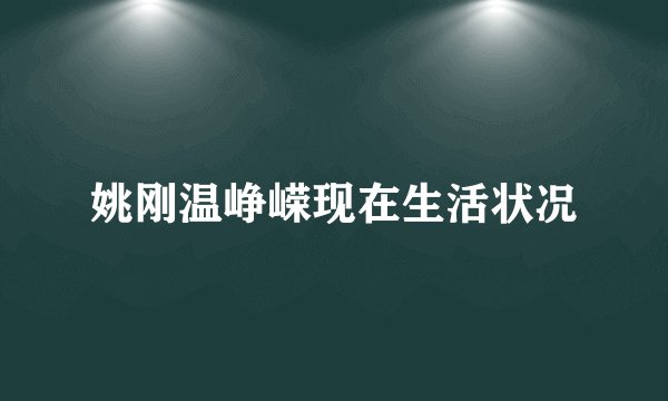 姚刚温峥嵘现在生活状况