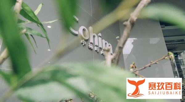中赫时尚花艺学院盛产“美”空间