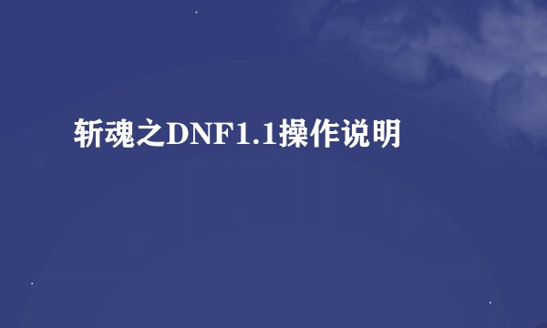 斩魂之DNF1.1操作说明