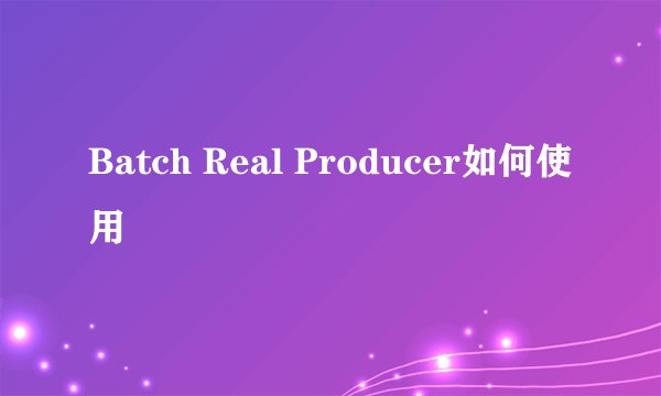 Batch Real Producer如何使用
