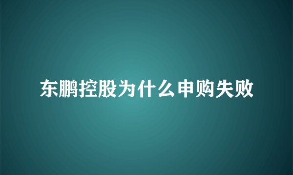 东鹏控股为什么申购失败