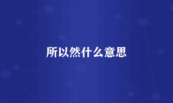 所以然什么意思