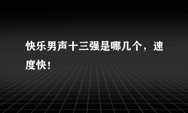 快乐男声十三强是哪几个，速度快！