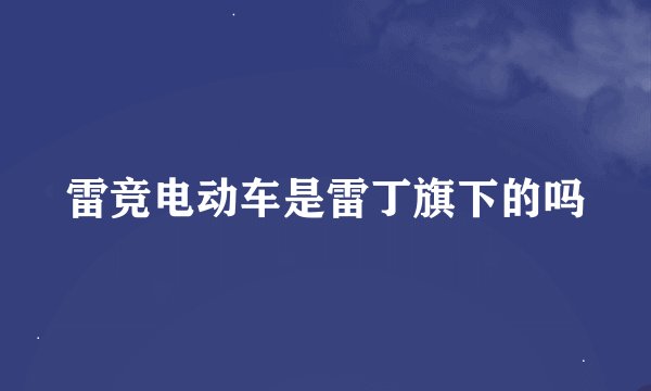 雷竞电动车是雷丁旗下的吗