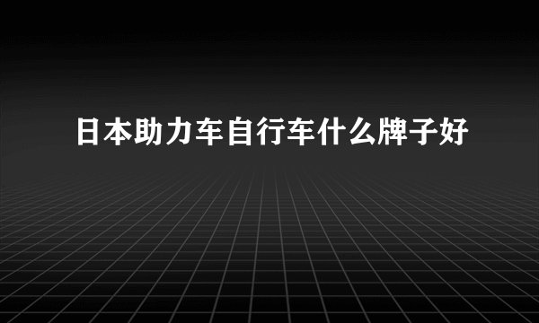 日本助力车自行车什么牌子好