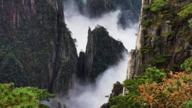 黄山雨后云海圈粉2万游客,现场到底是何景象?