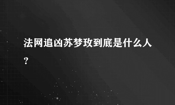 法网追凶苏梦玫到底是什么人？
