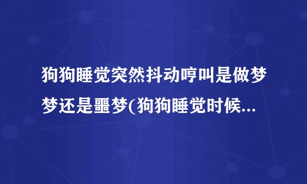狗狗睡觉突然抖动哼叫是做梦梦还是噩梦(狗狗睡觉时候抖动还叫)