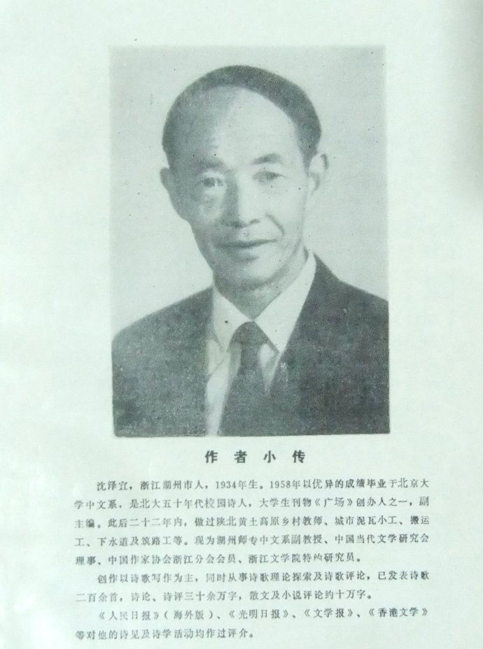 沈泽宜的介绍