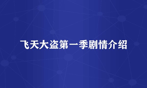 飞天大盗第一季剧情介绍