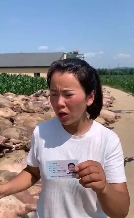 黑龙江限电下的民间疾苦