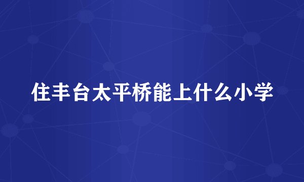 住丰台太平桥能上什么小学