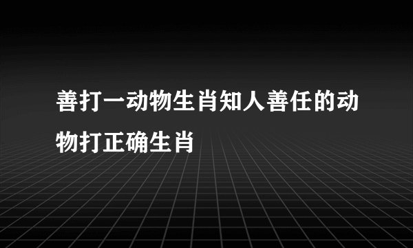 善打一动物生肖知人善任的动物打正确生肖
