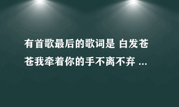 有首歌最后的歌词是 白发苍苍我牵着你的手不离不弃 我愿意 这首歌叫什么